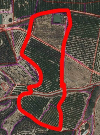 RML-03088 - Finca de 26 tahúllas en La Veredilla con riego, luz y plantación en producción