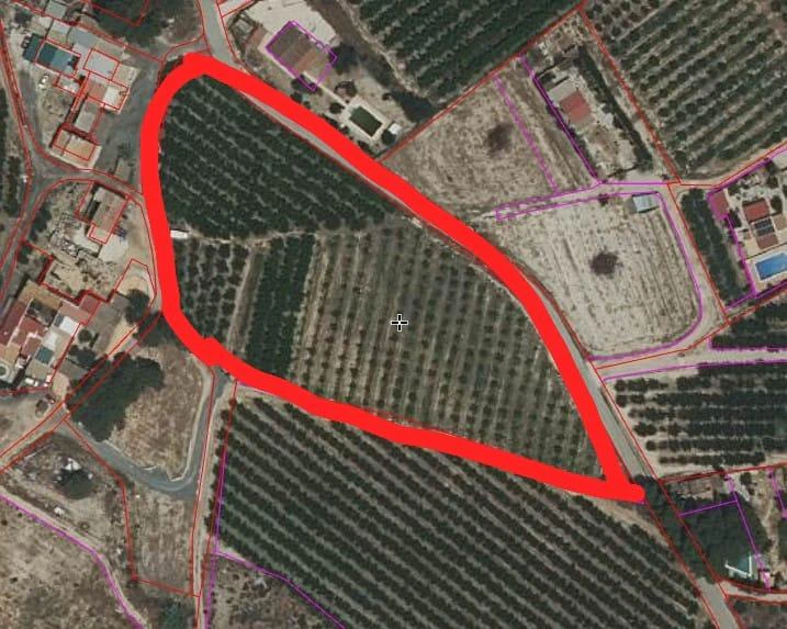 RML-03087 - Finca de 11 tahúllas en La Veredilla con riego, luz y plantación en producción
