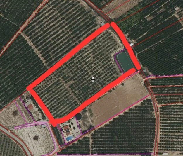 RML-03086 - Finca de 13 tahúllas en La Veredilla con riego, luz y plantación en producción