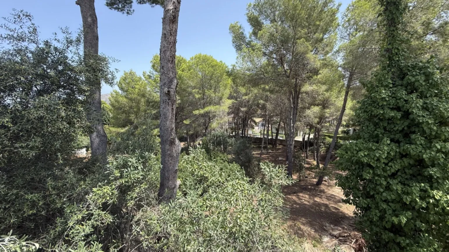 Magnífica Finca en Venta en La Sella,  Pedreguer