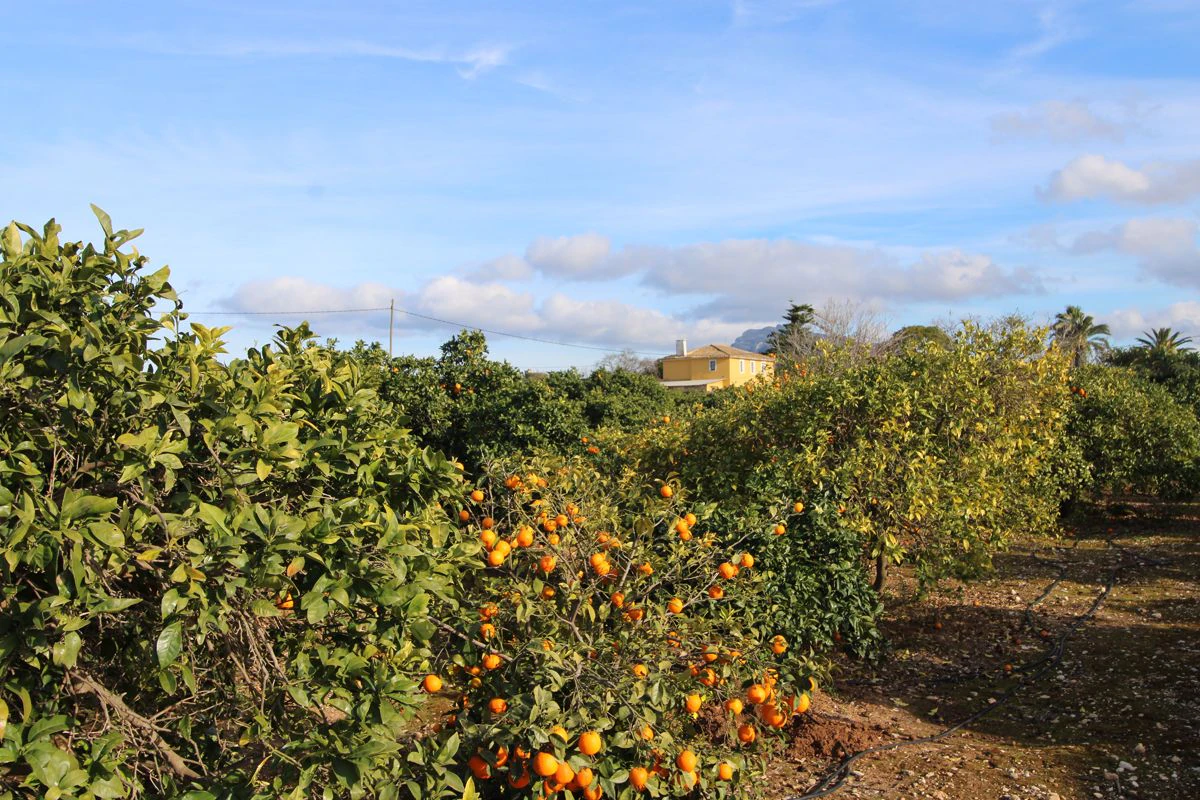 Casa de campo/villa en plena naturaleza