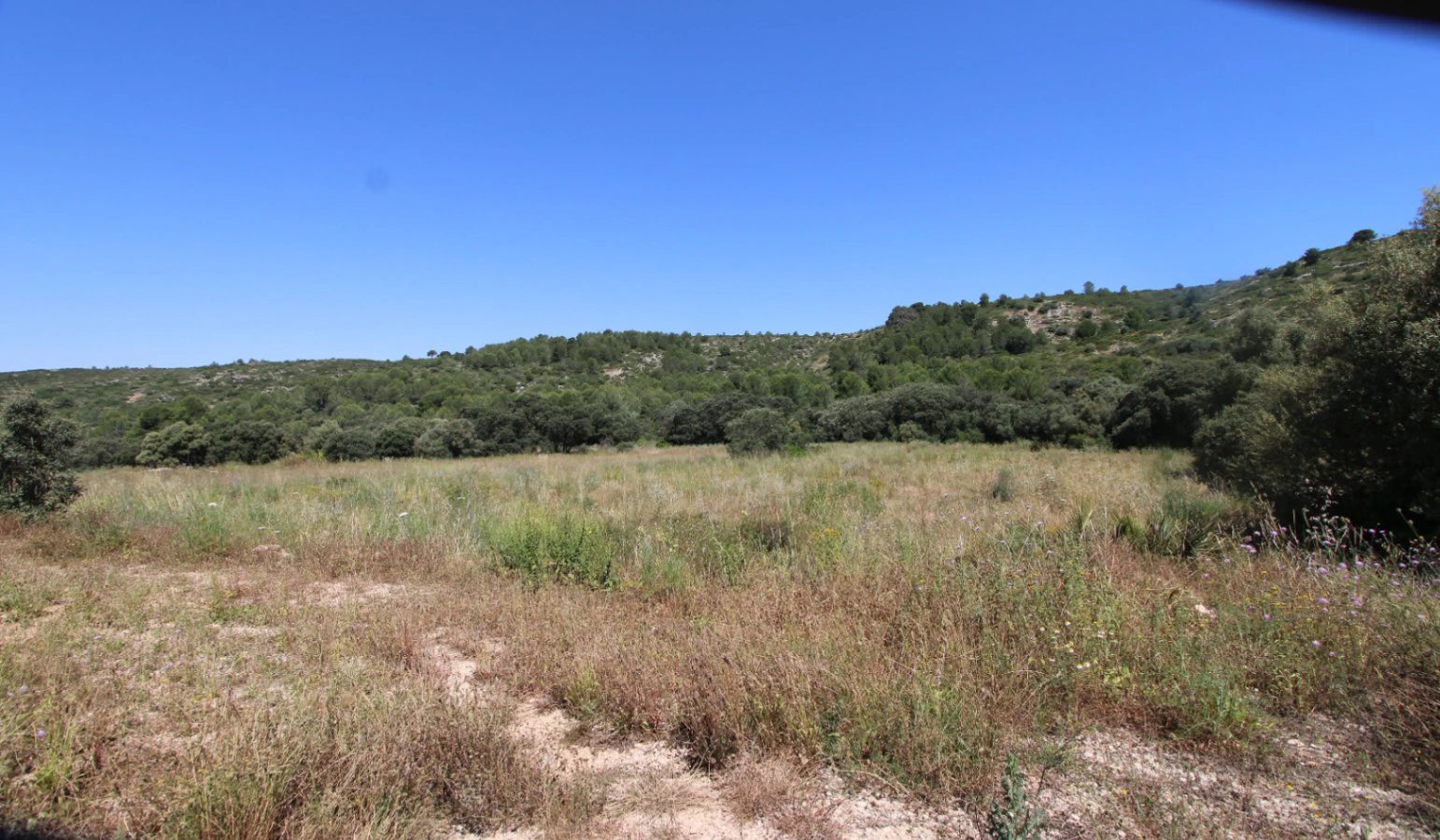 Espectacular finca a la venta en Alcalali