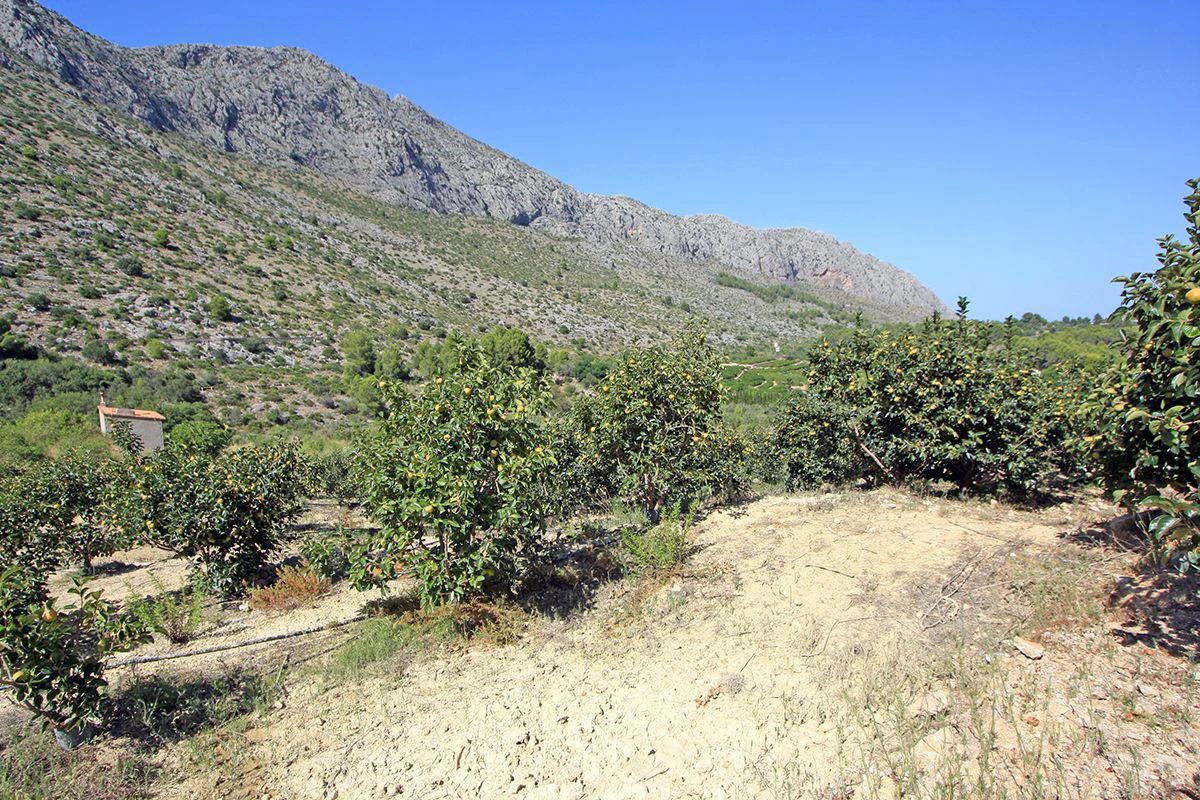 Formidable plot for sale in Beniarbeig