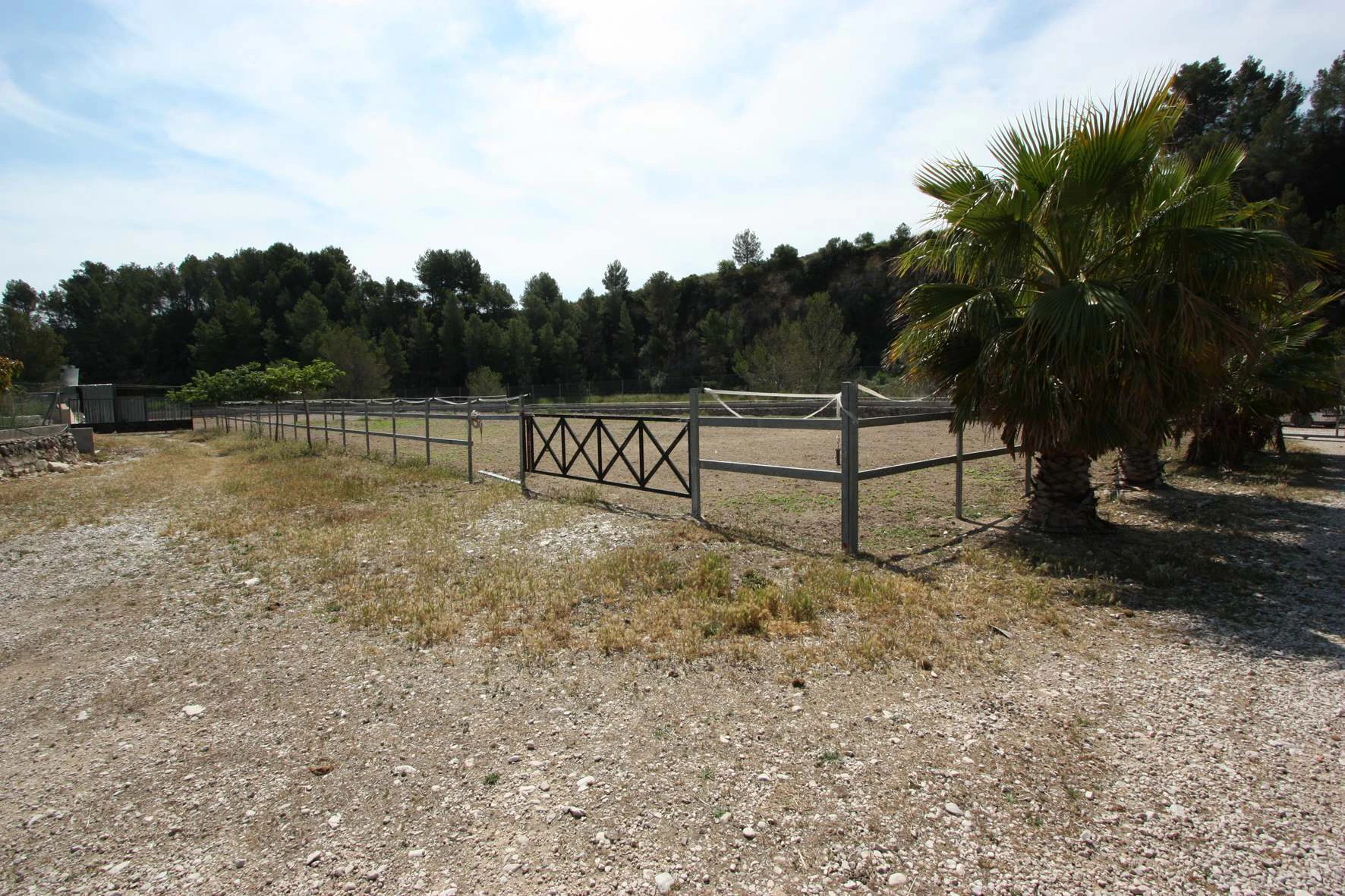 Finca for sale in Orba for horse breeding