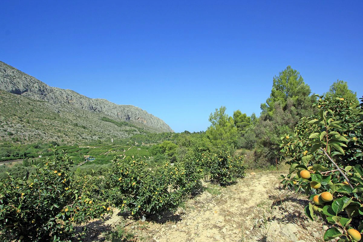 Formidable plot for sale in Beniarbeig
