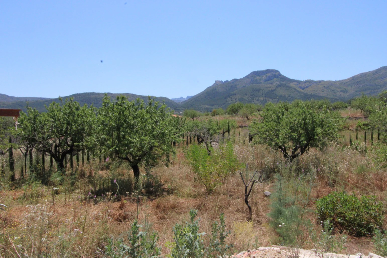 Espectacular finca a la venta en Alcalali