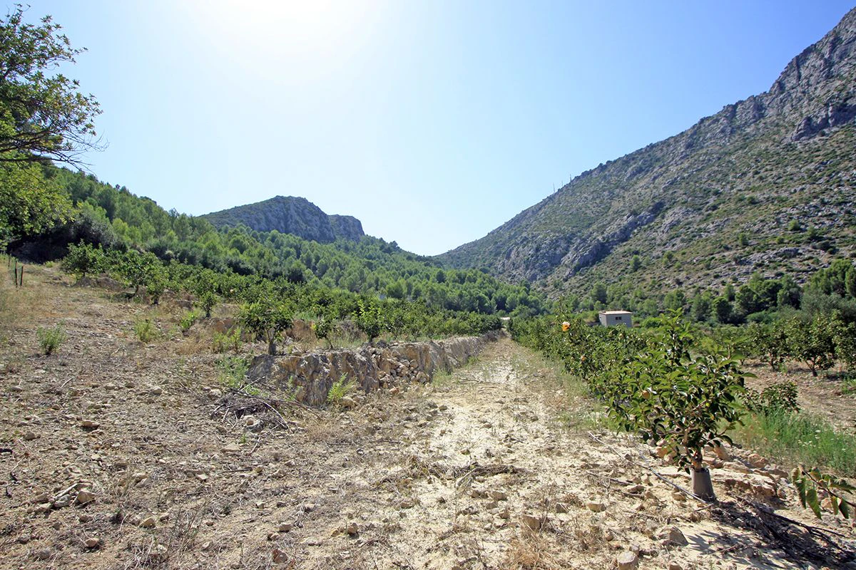 Formidable plot for sale in Beniarbeig