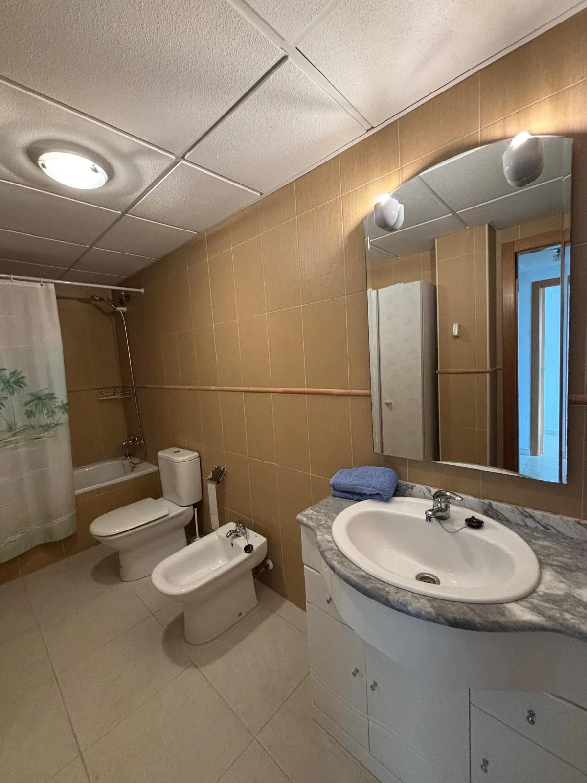 Bright Penthouse in Pego