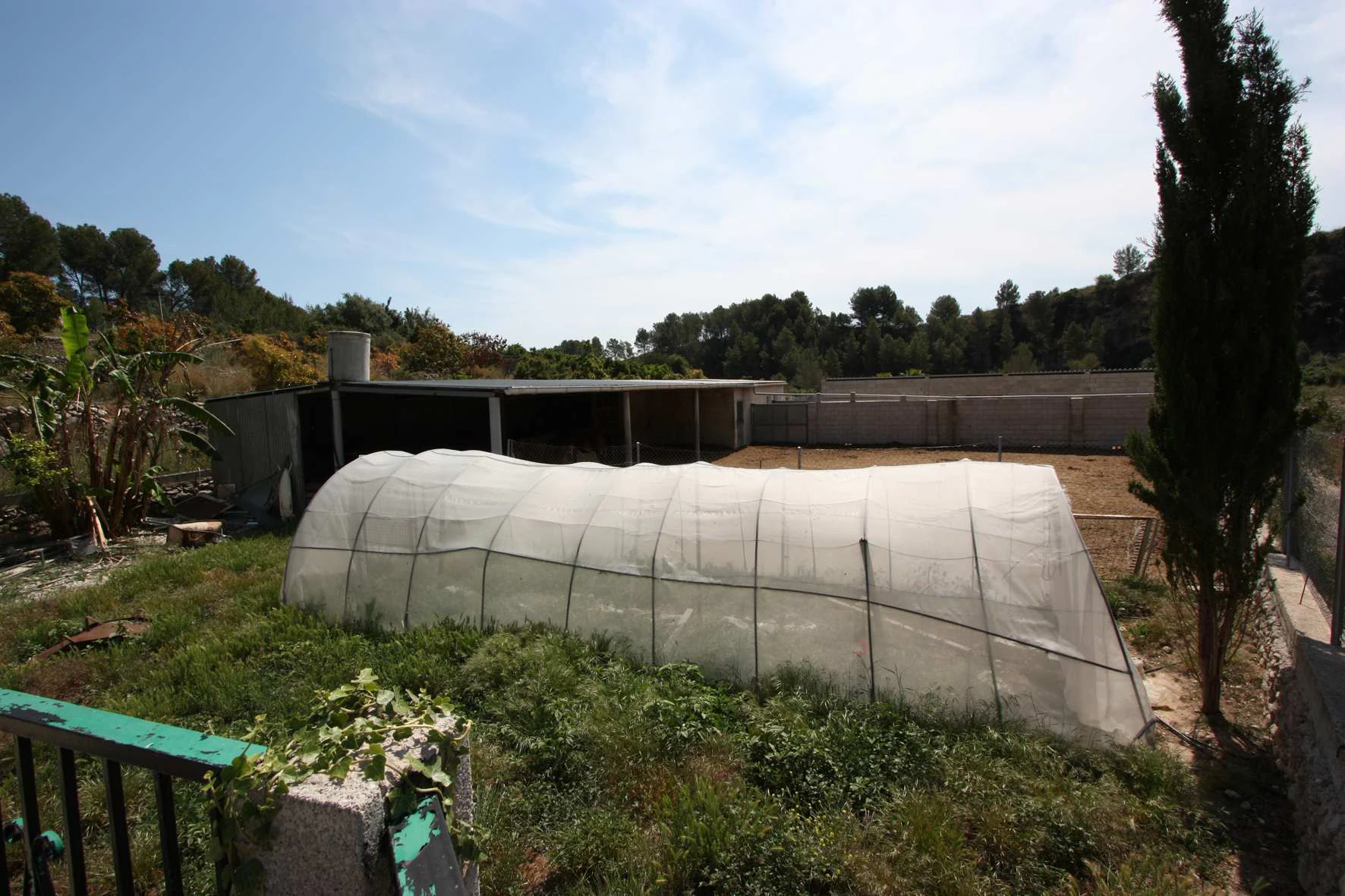 Finca for sale in Orba for horse breeding