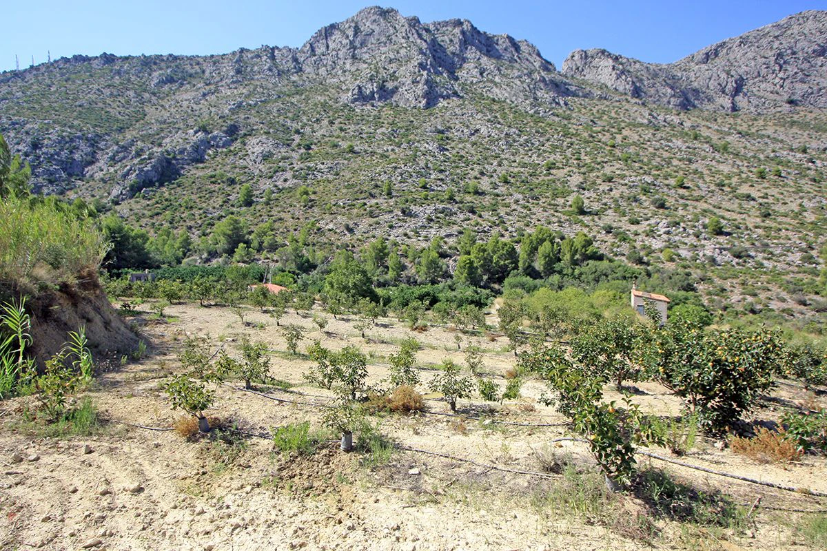 Formidable plot for sale in Beniarbeig