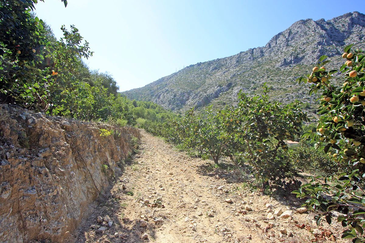 Formidable plot for sale in Beniarbeig