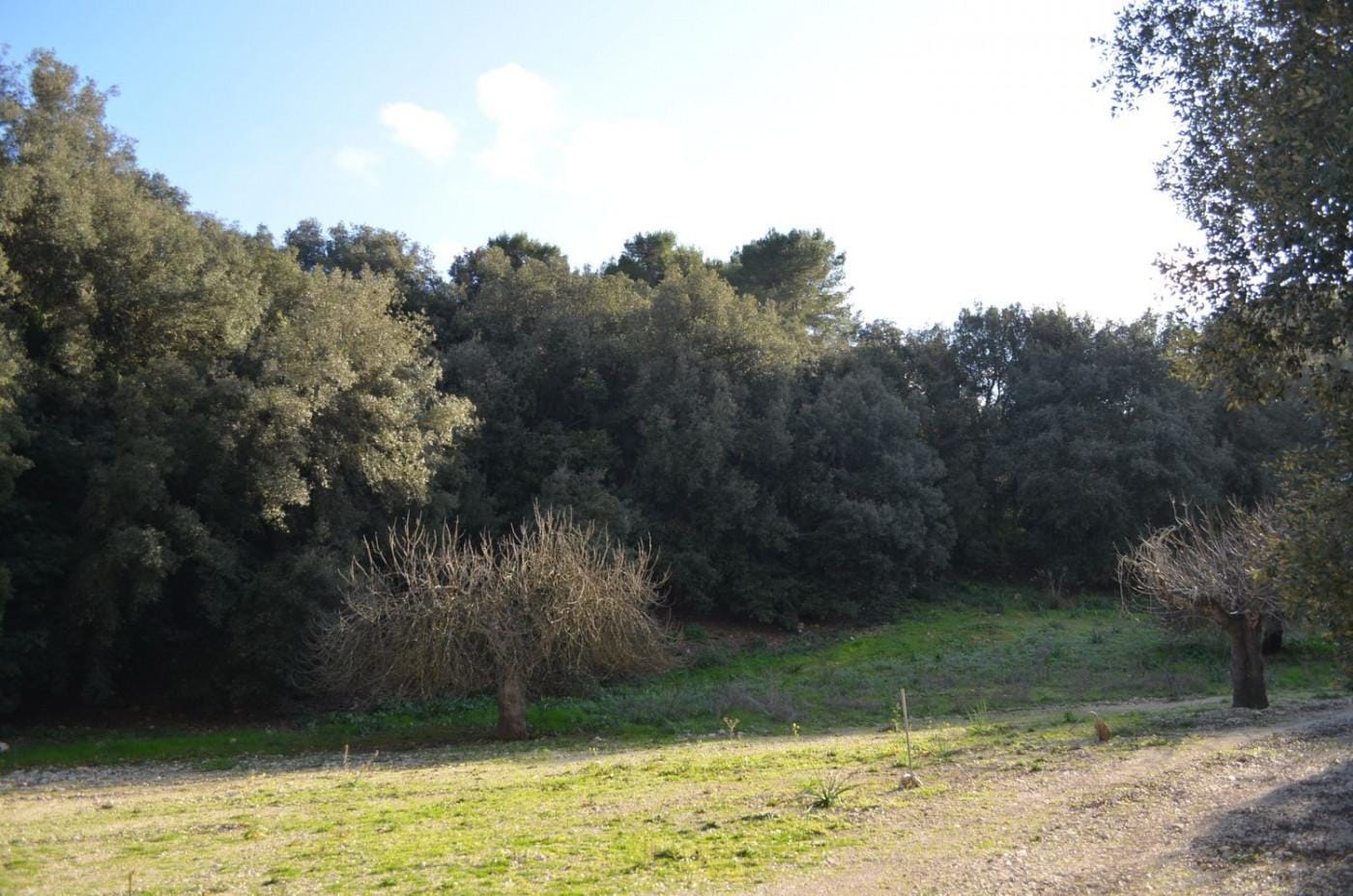 Finca rústica en Venta en Sant Llorenç des Cardassar, BALEARES
