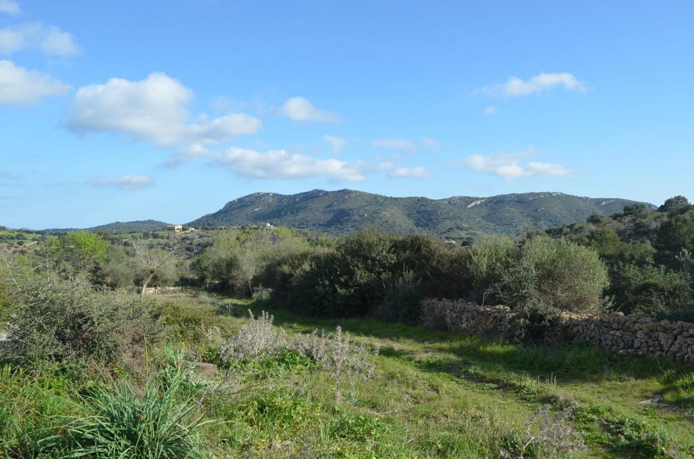 Finca rústica en Venta en Sant Llorenç des Cardassar, BALEARES