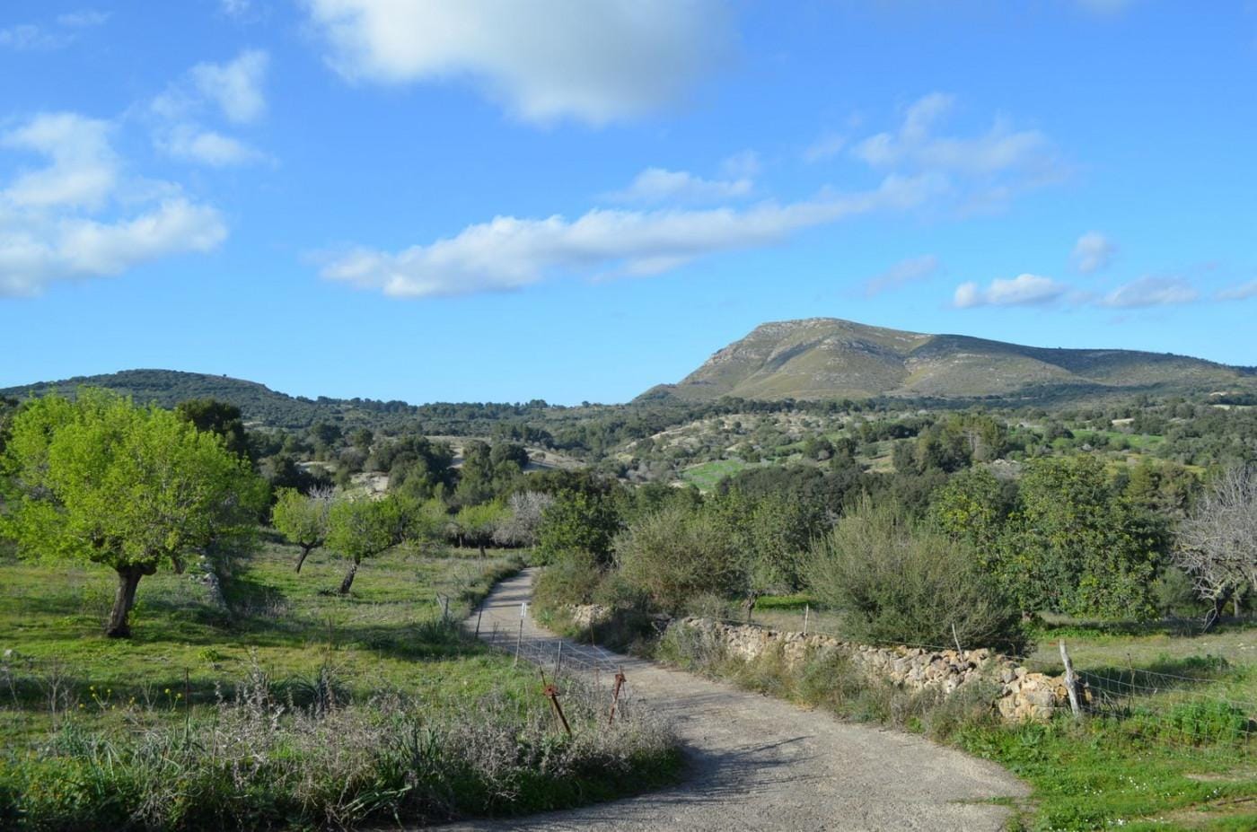 Finca rústica en Venta en Sant Llorenç des Cardassar, BALEARES
