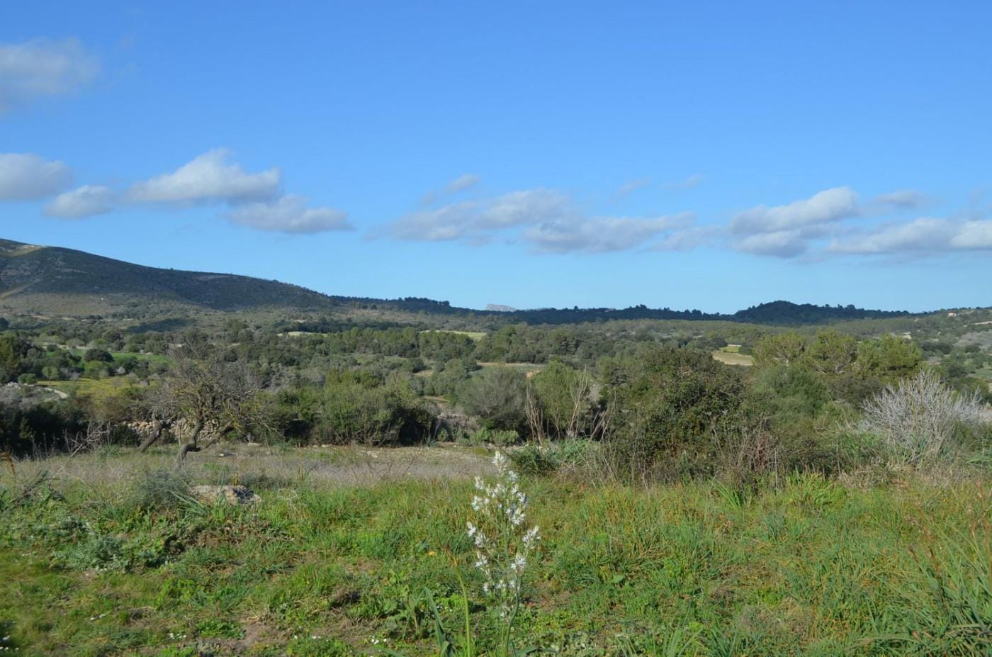 Finca rústica en Venta en Sant Llorenç des Cardassar, BALEARES
