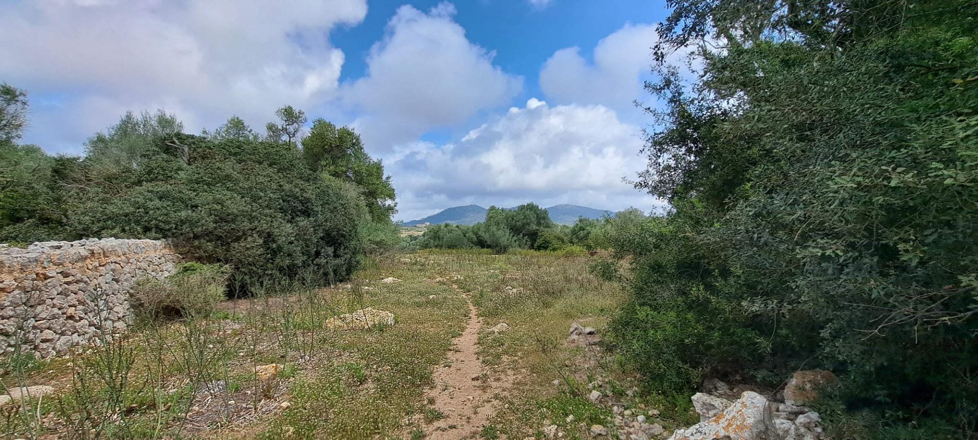 Finca rústica en Venta en Sant Llorenç des Cardassar, BALEARES