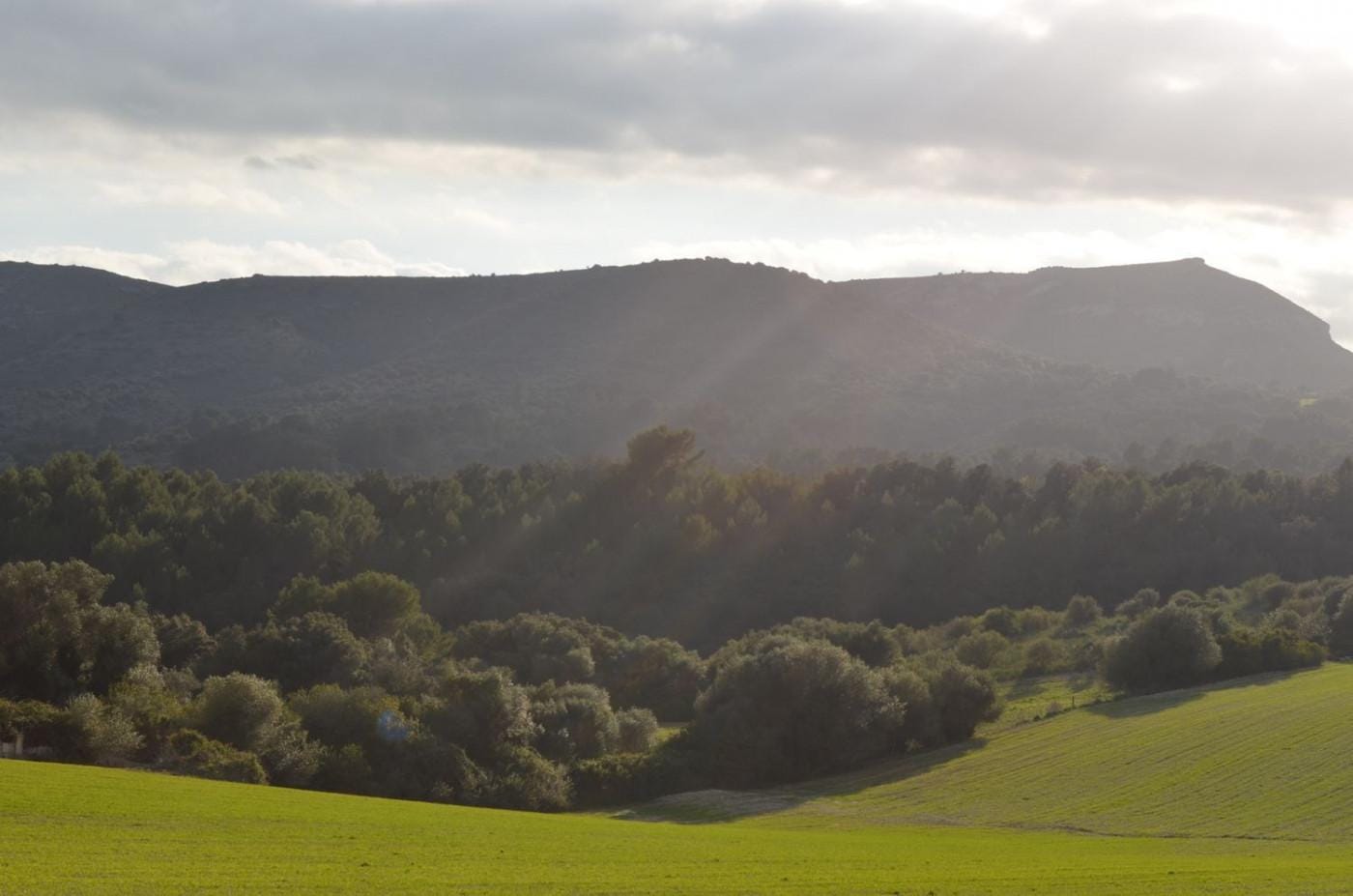 Finca rústica en Venta en Sant Llorenç des Cardassar, BALEARES
