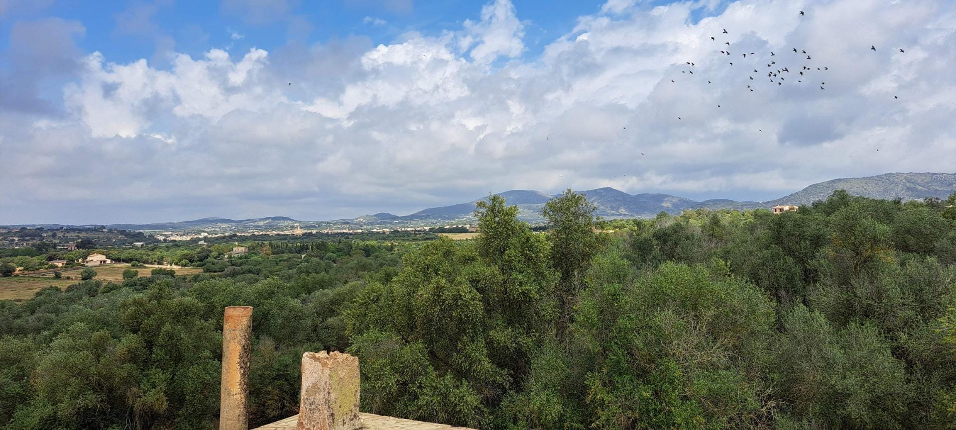 Finca rústica en Venta en Sant Llorenç des Cardassar, BALEARES