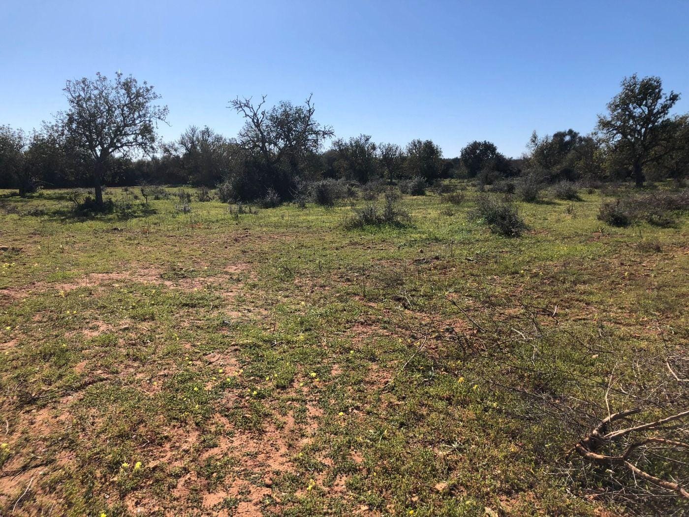 Terreno rural en Venta en Porreres, BALEARES