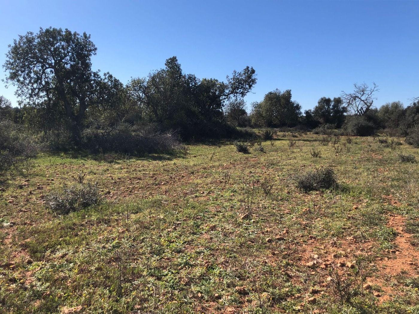 Terreno rural en Venta en Porreres, BALEARES