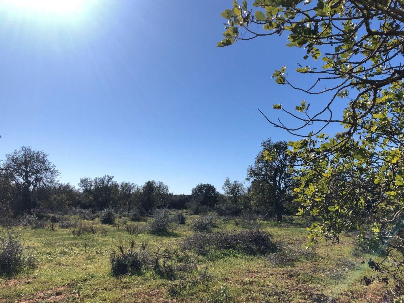Terreno rural en Venta en Porreres, BALEARES