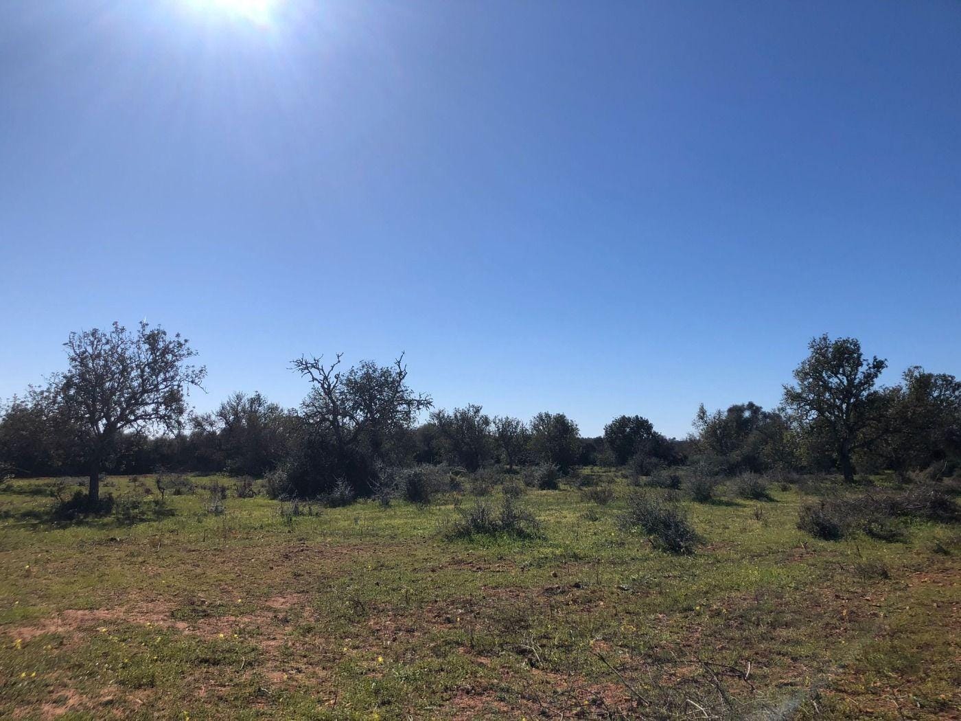 Terreno rural en Venta en Porreres, BALEARES
