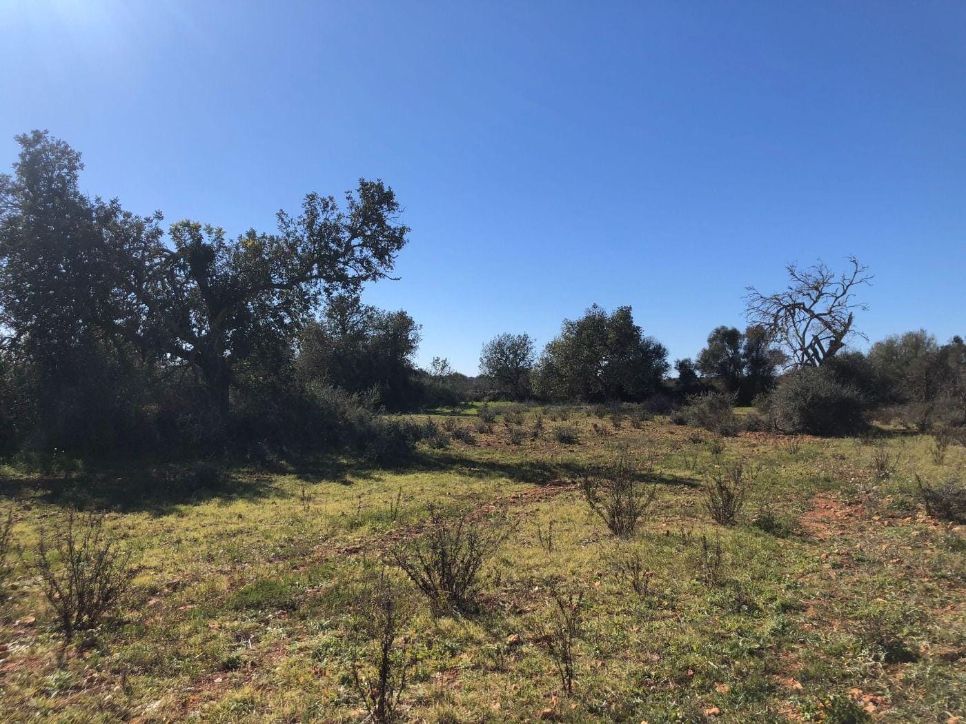 Terreno rural en Venta en Porreres, BALEARES