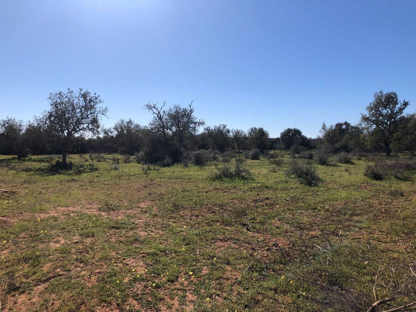 Terreno rural en Venta en Porreres, BALEARES
