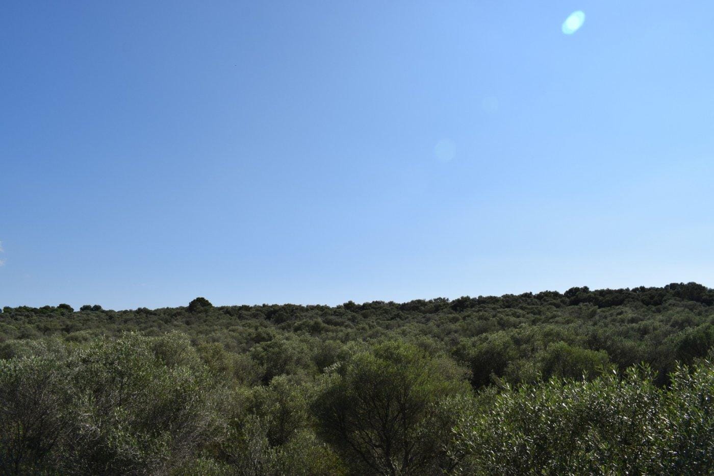 Chalet en Venta en Campos, BALEARES