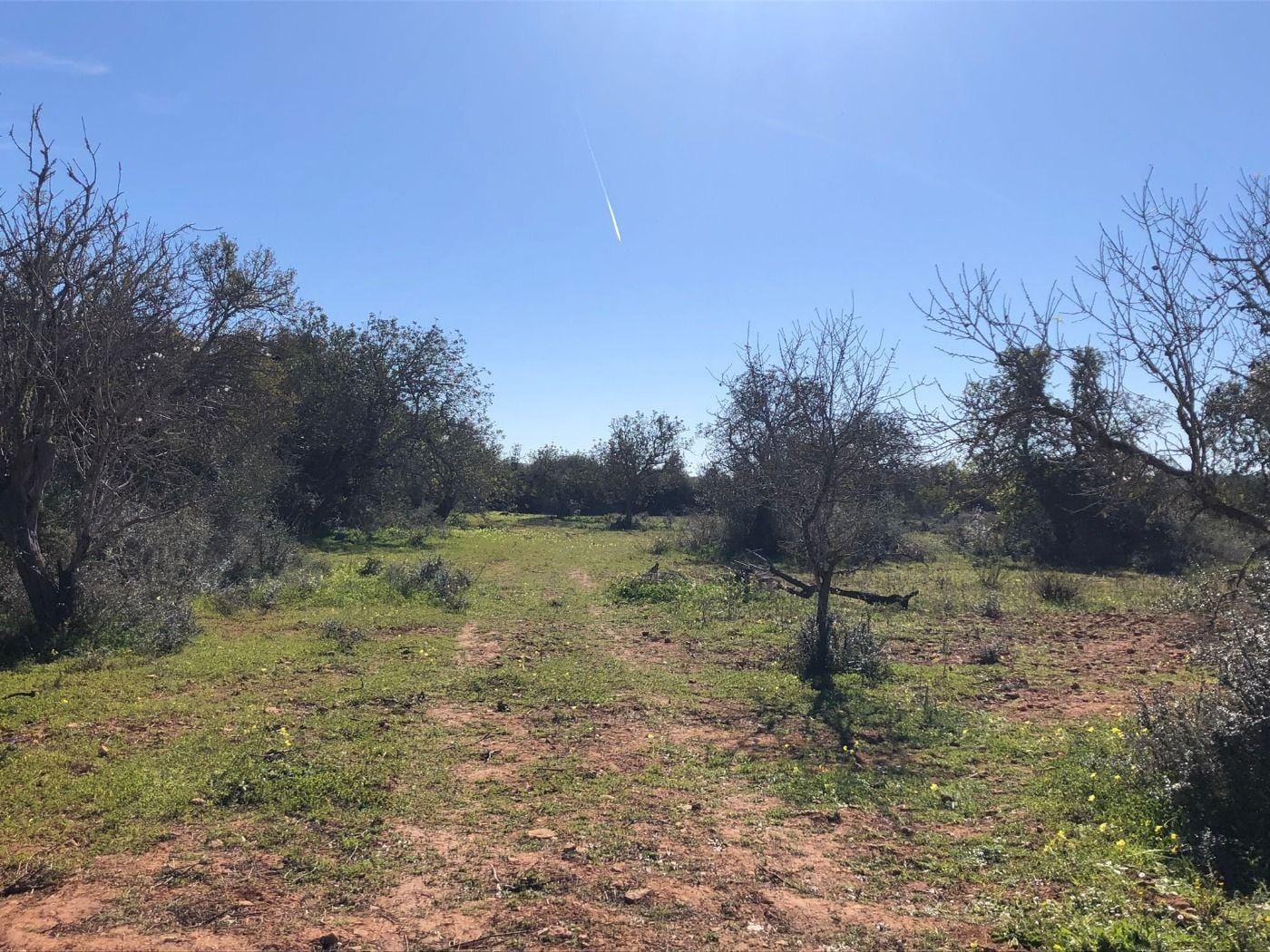 Terreno rural en Venta en Porreres, BALEARES