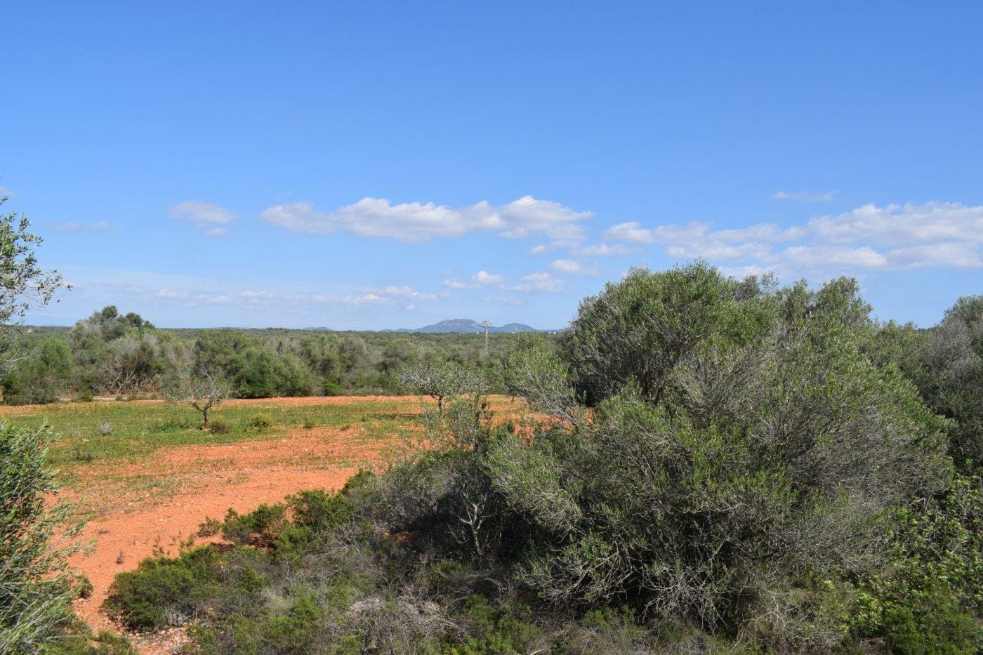 Chalet en Venta en Campos, BALEARES