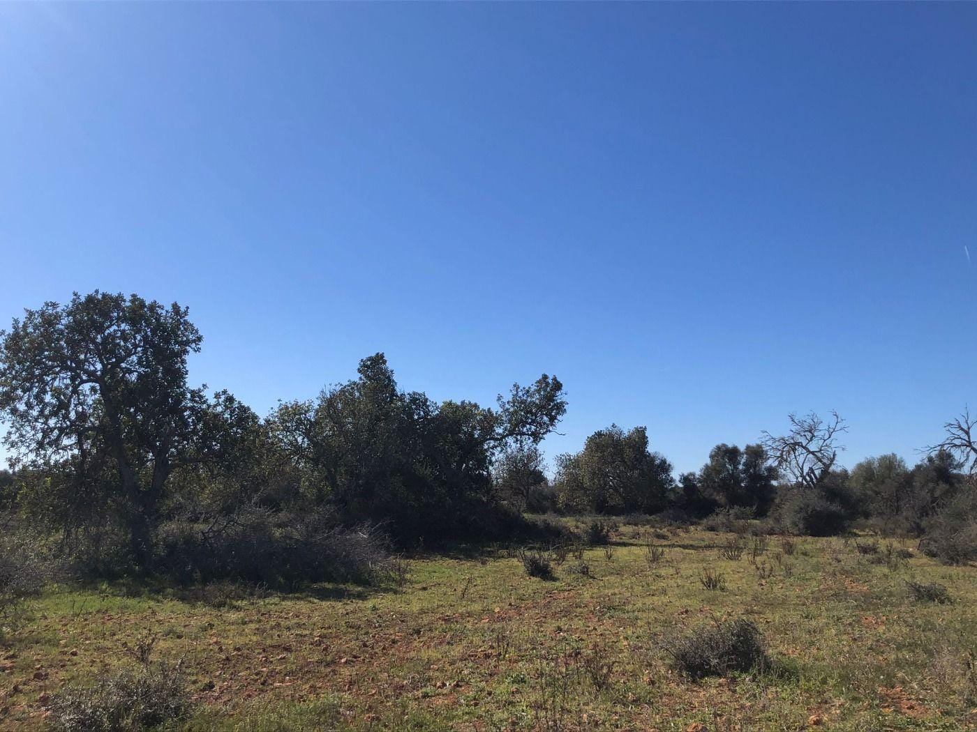 Terreno rural en Venta en Porreres, BALEARES