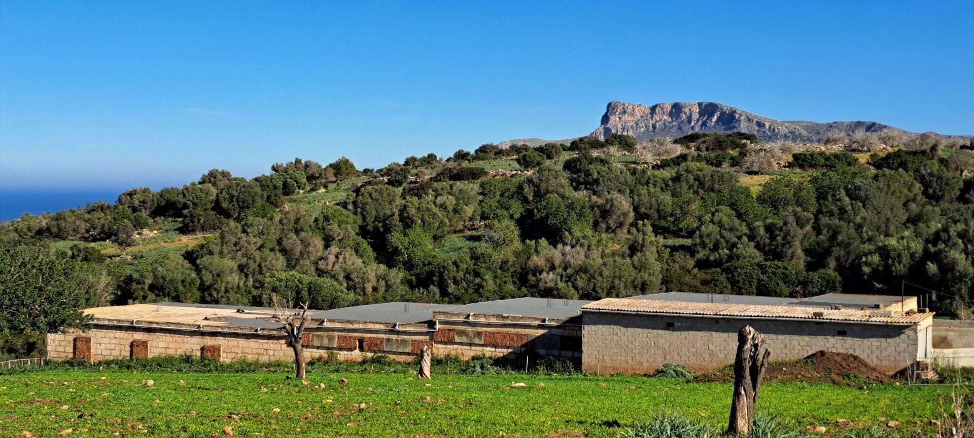 Ubicación sensacional dentro de una zona natural prácticamente virgen que ofrece vistas infinitas de la bahía de Alcudia, Formentor y la sierra de Tramontana