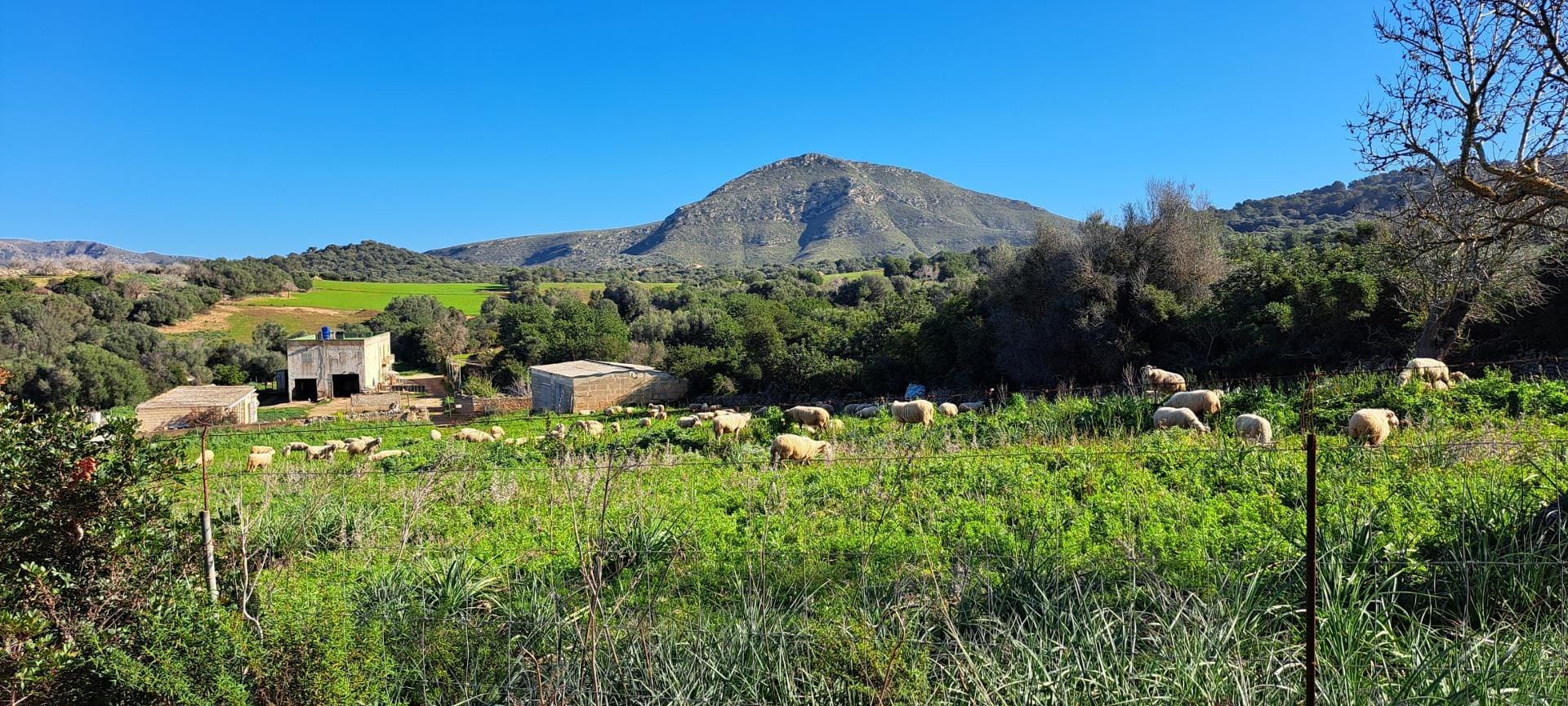 Ubicación sensacional dentro de una zona natural prácticamente virgen que ofrece vistas infinitas de la bahía de Alcudia, Formentor y la sierra de Tramontana