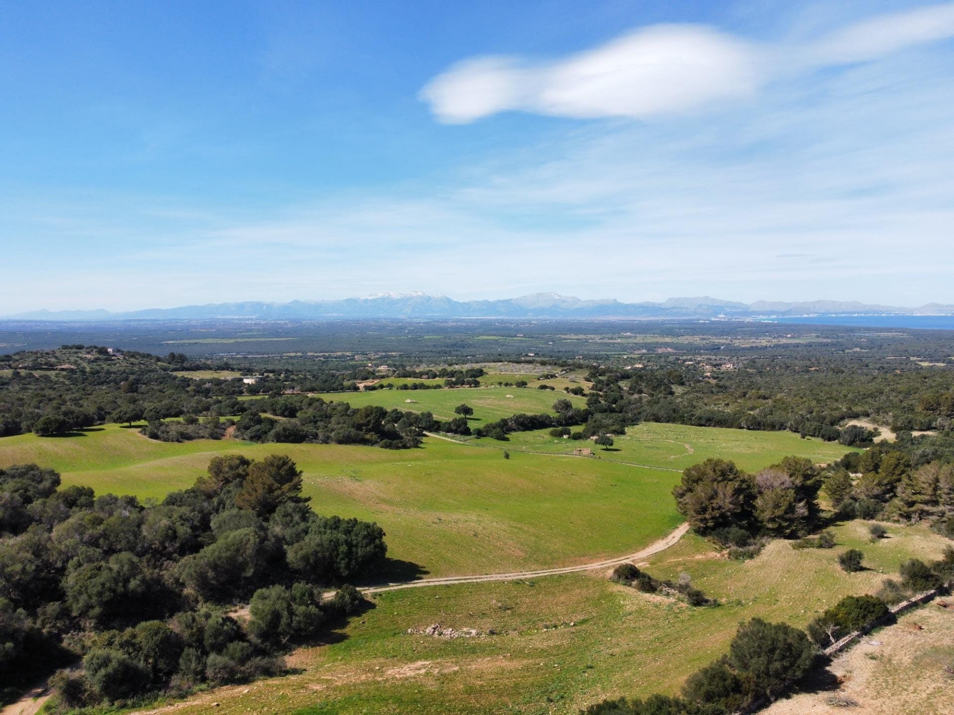 Ubicación sensacional dentro de una zona natural prácticamente virgen que ofrece vistas infinitas de la bahía de Alcudia, Formentor y la sierra de Tramontana