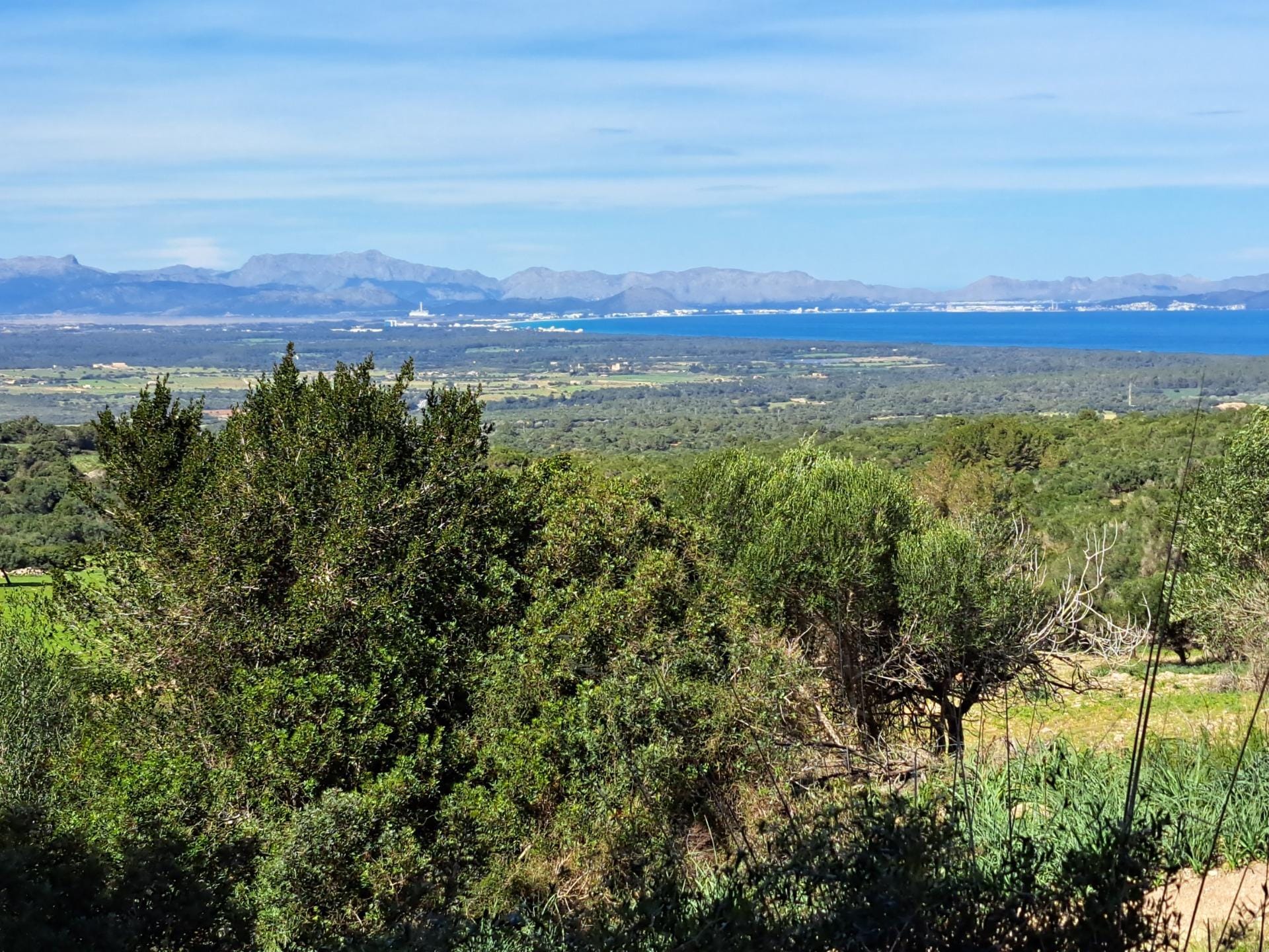 Ubicación sensacional dentro de una zona natural prácticamente virgen que ofrece vistas infinitas de la bahía de Alcudia, Formentor y la sierra de Tramontana