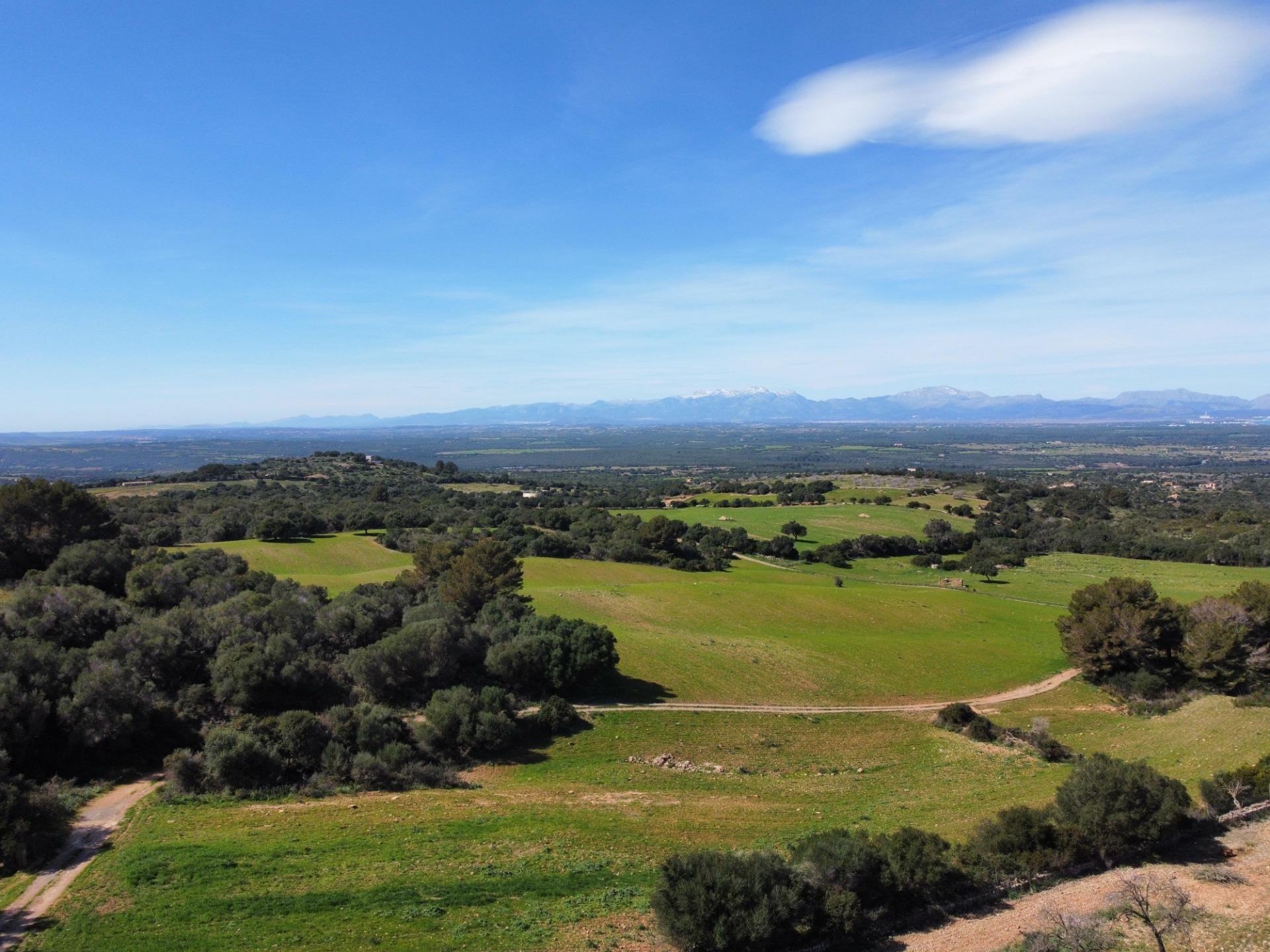 Ubicación sensacional dentro de una zona natural prácticamente virgen que ofrece vistas infinitas de la bahía de Alcudia, Formentor y la sierra de Tramontana