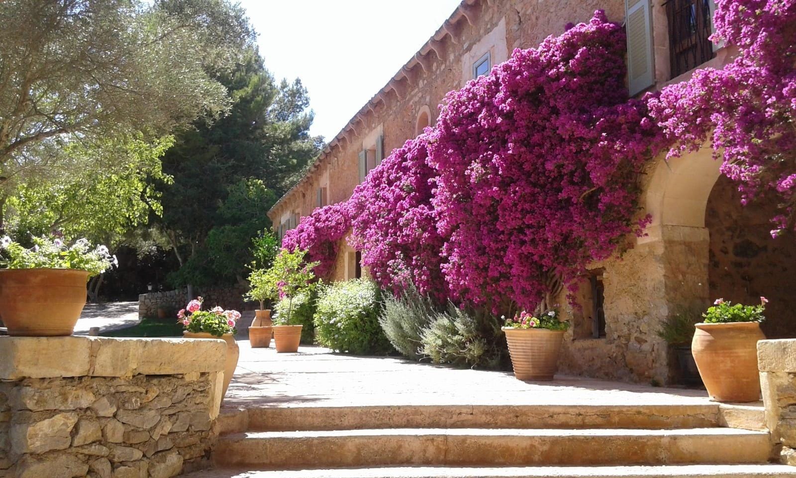 Finca rústica en Venta en Artà, BALEARES