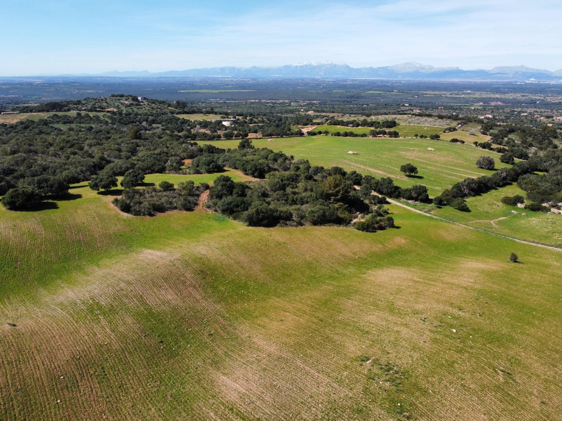 Ubicación sensacional dentro de una zona natural prácticamente virgen que ofrece vistas infinitas de la bahía de Alcudia, Formentor y la sierra de Tramontana