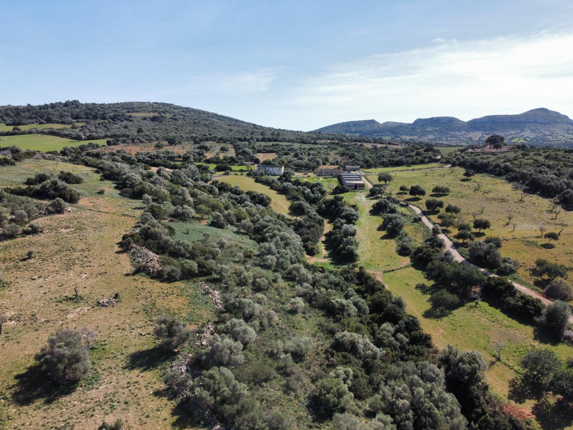 Ubicación sensacional dentro de una zona natural prácticamente virgen que ofrece vistas infinitas de la bahía de Alcudia, Formentor y la sierra de Tramontana