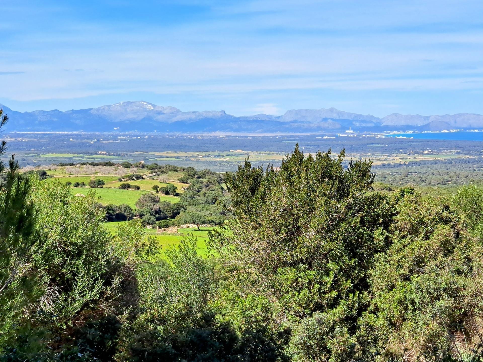 Ubicación sensacional dentro de una zona natural prácticamente virgen que ofrece vistas infinitas de la bahía de Alcudia, Formentor y la sierra de Tramontana