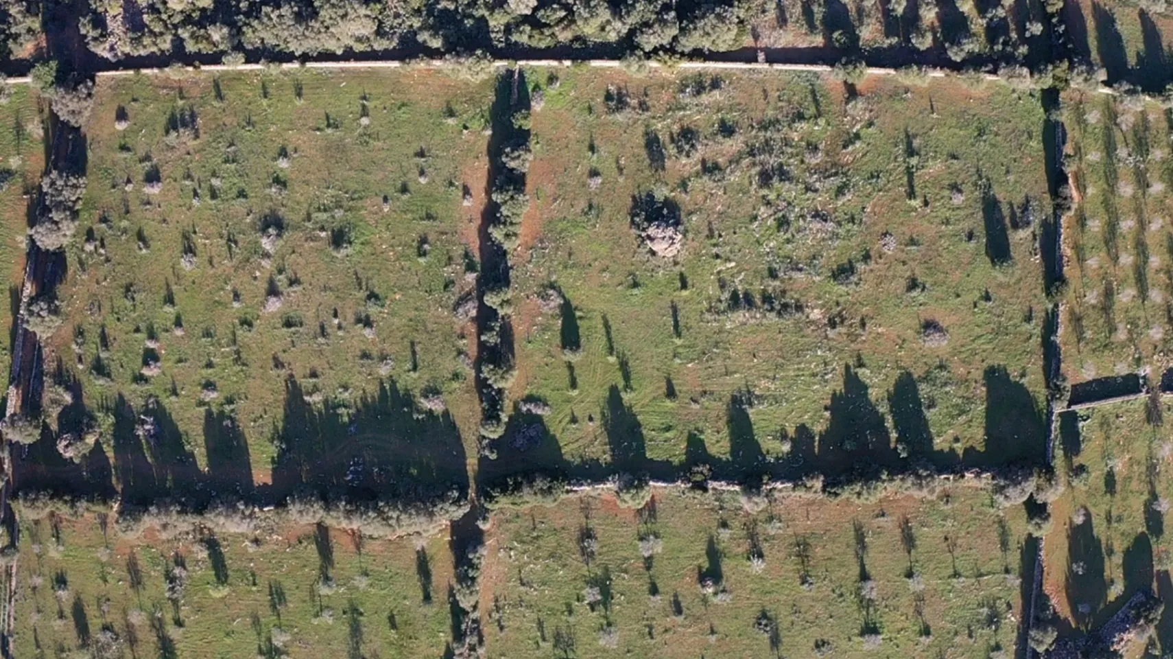 Eco-Lujo en Manacor: Diseño de vanguardia y conexión total con la naturaleza