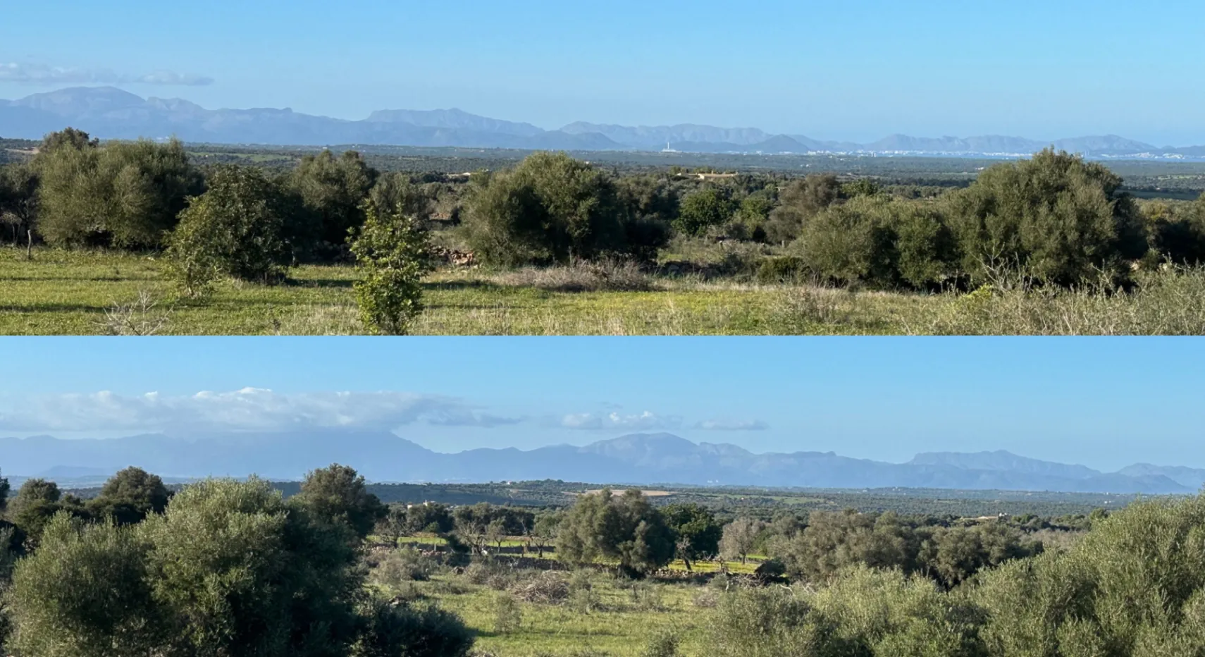 Eco-Lujo en Manacor: Diseño de vanguardia y conexión total con la naturaleza