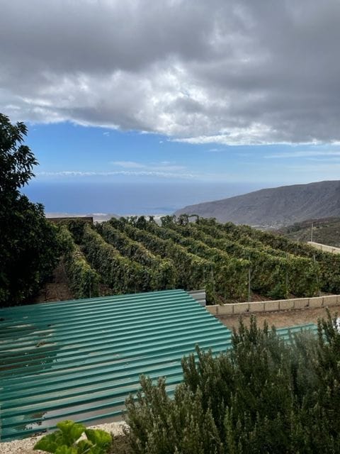 Se vende Finca en los altos de Guimar