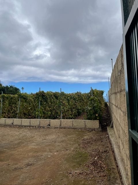 Se vende Finca en los altos de Guimar