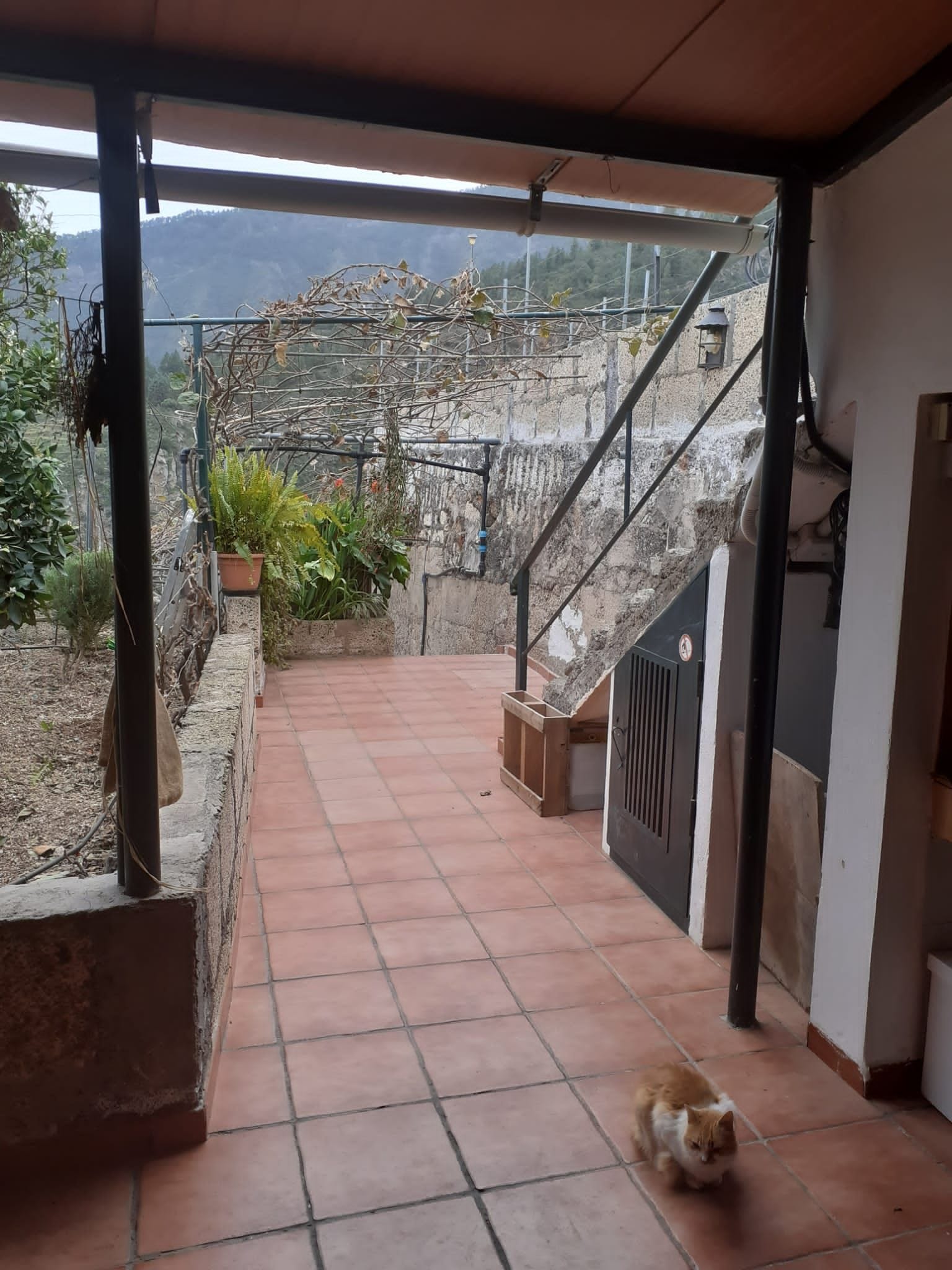 Se vende Finca en los altos de Guimar