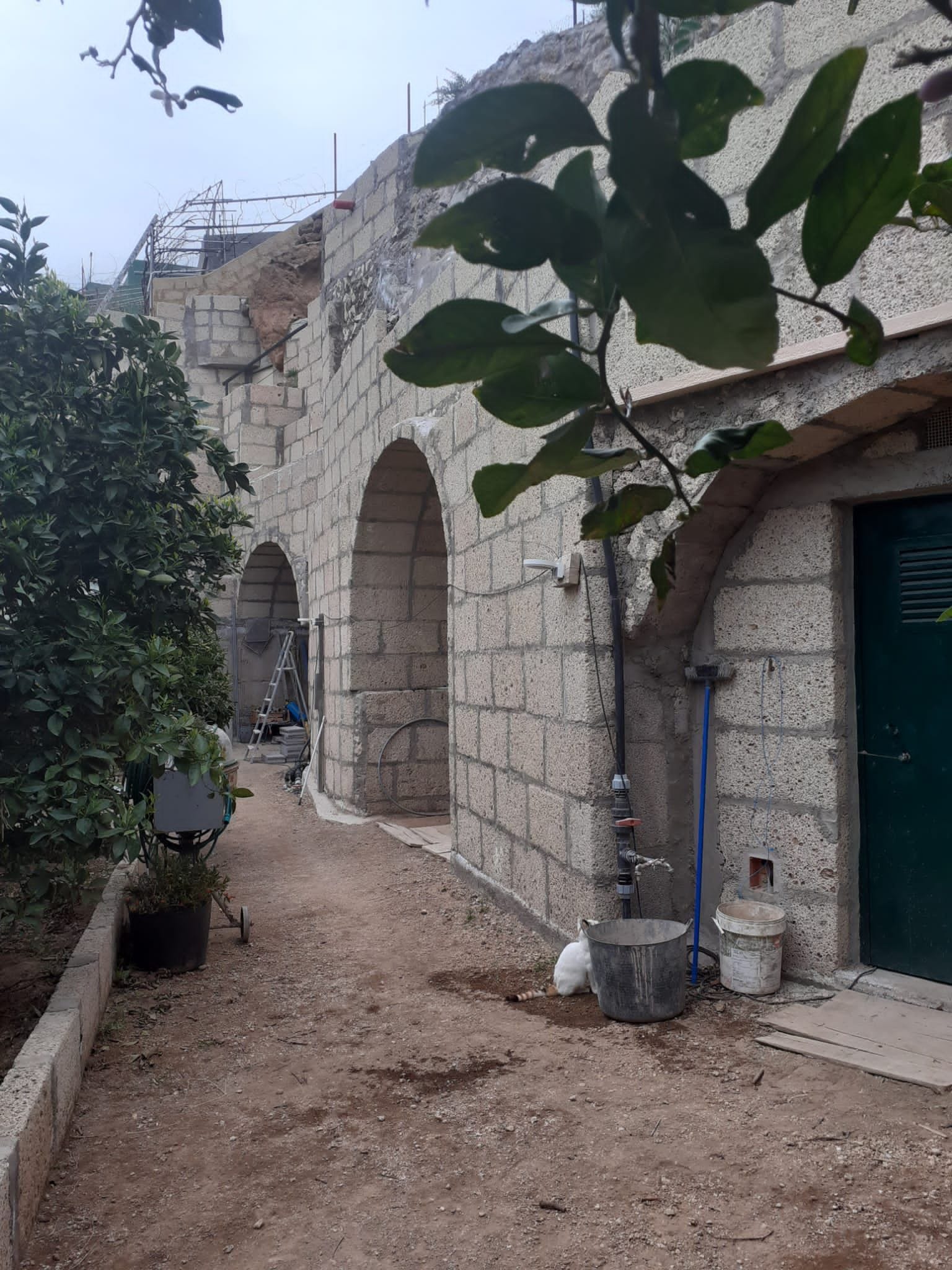 Se vende Finca en los altos de Guimar