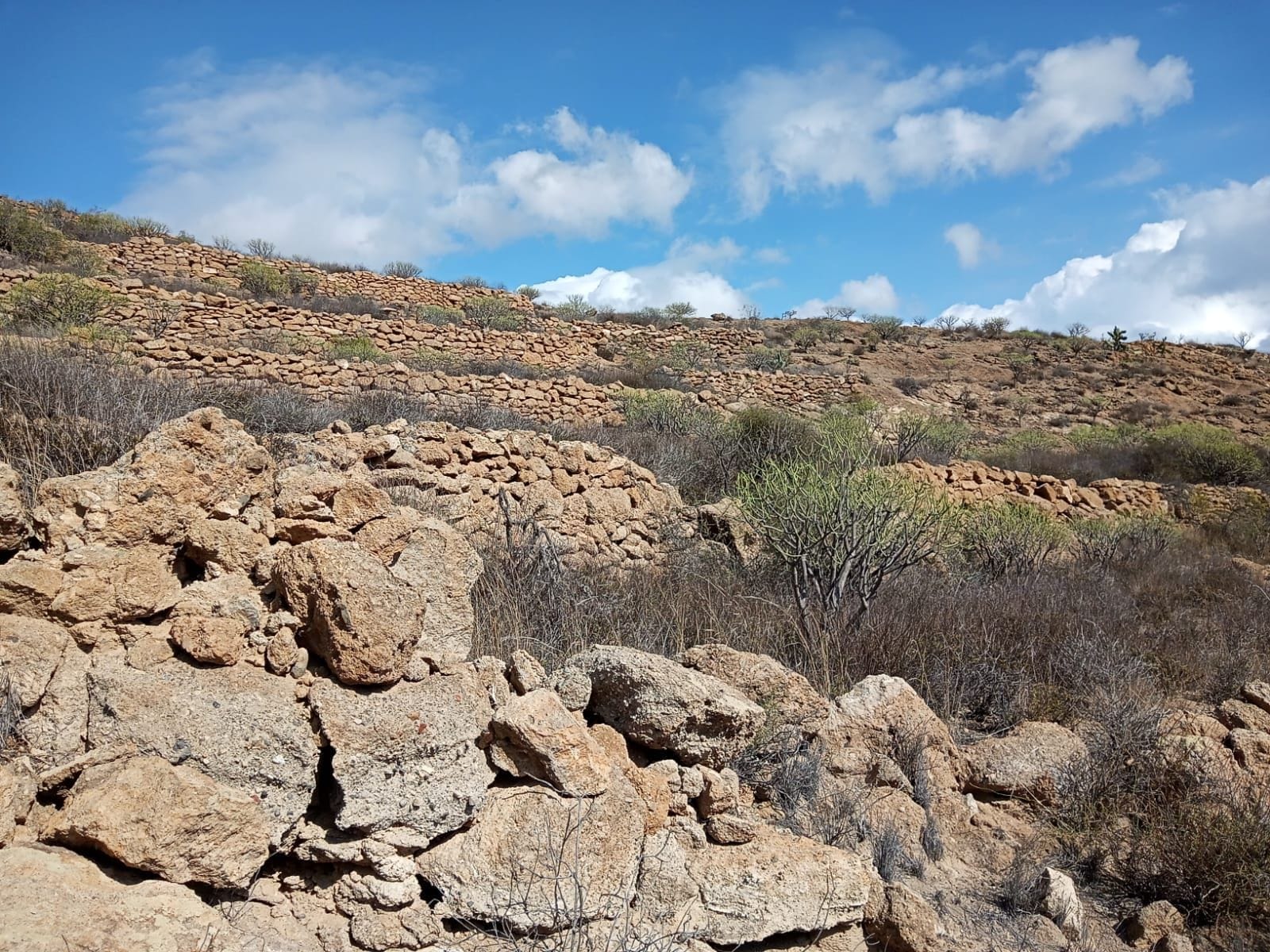 Finca rústica en La Tosquita