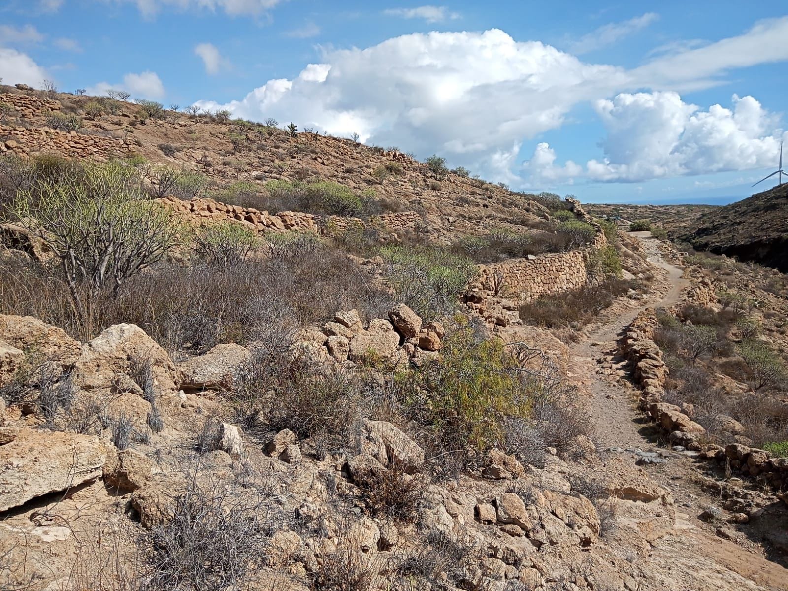 Finca rústica en La Tosquita