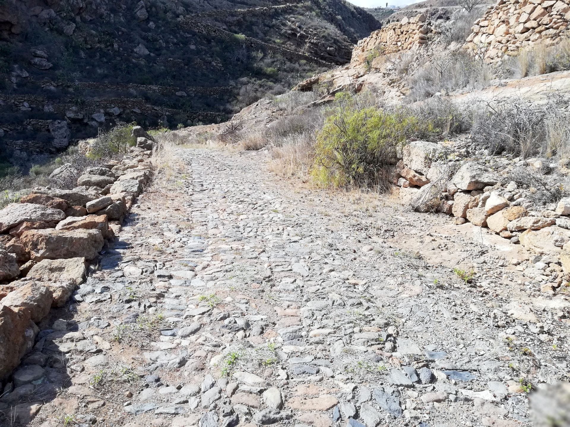 Finca rústica en La Tosquita